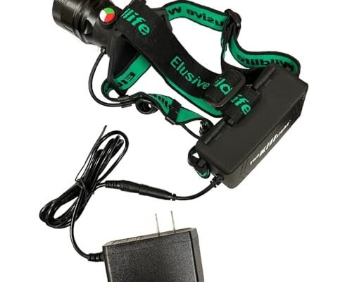 Best Wildlife Headlamp