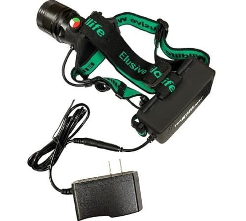 Best Wildlife Headlamp