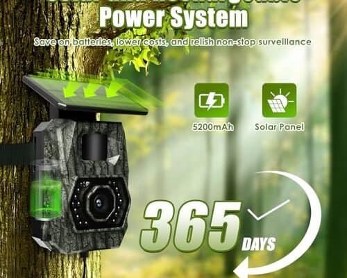 Best Wireless Trail Camera