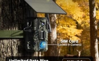 Best Wireless Trail Camera For Deer Hunting