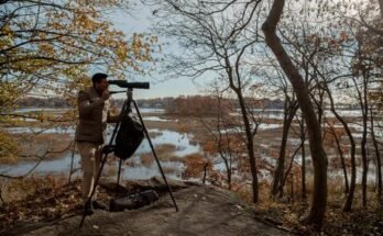 Best Wildlife Photography Tripod