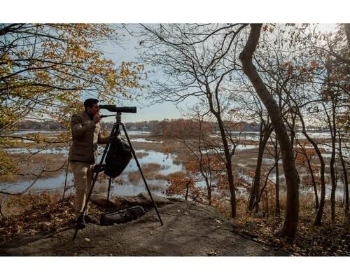 Best Wildlife Photography Tripod