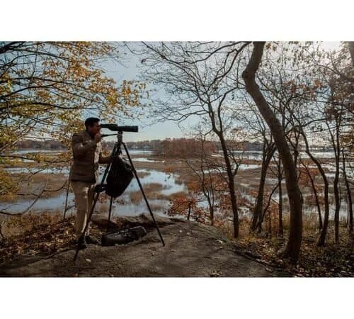 Best Wildlife Photography Tripod