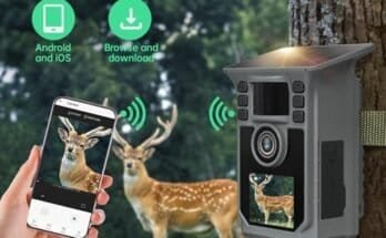 Best Budget Wireless Trail Camera