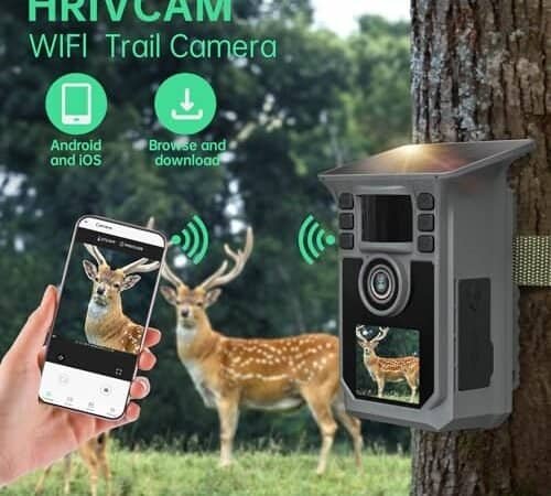Best Budget Wireless Trail Camera
