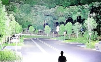 Best Wildlife Flashlight