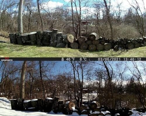 Best Wildlife Trail Camera