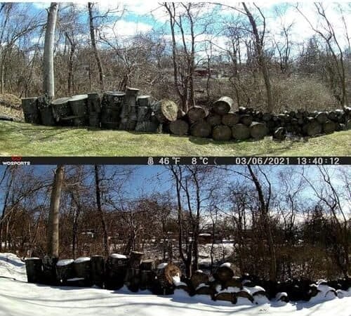 Best Wildlife Trail Camera