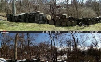 Best Motion Activated Wildlife Cameras