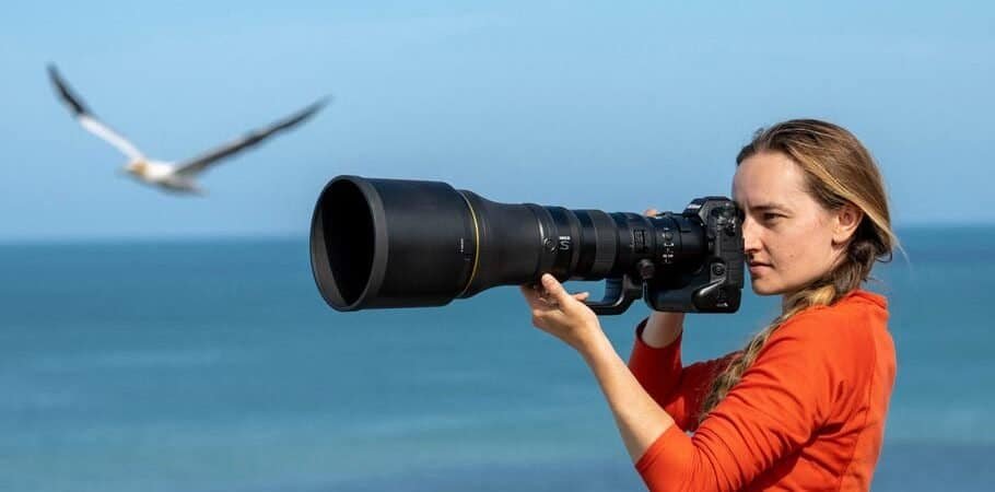 How Much Zoom Do You Need For Wildlife Photography