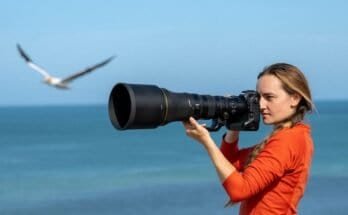 Which Lens Is Ideal For Wildlife Photography