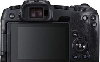 Best Mirrorless Cameras For Landscape Photography