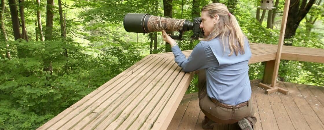 How Close Should You Get To Wildlife When Photographing