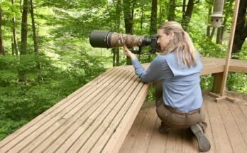 How Close Should You Get To Wildlife When Photographing