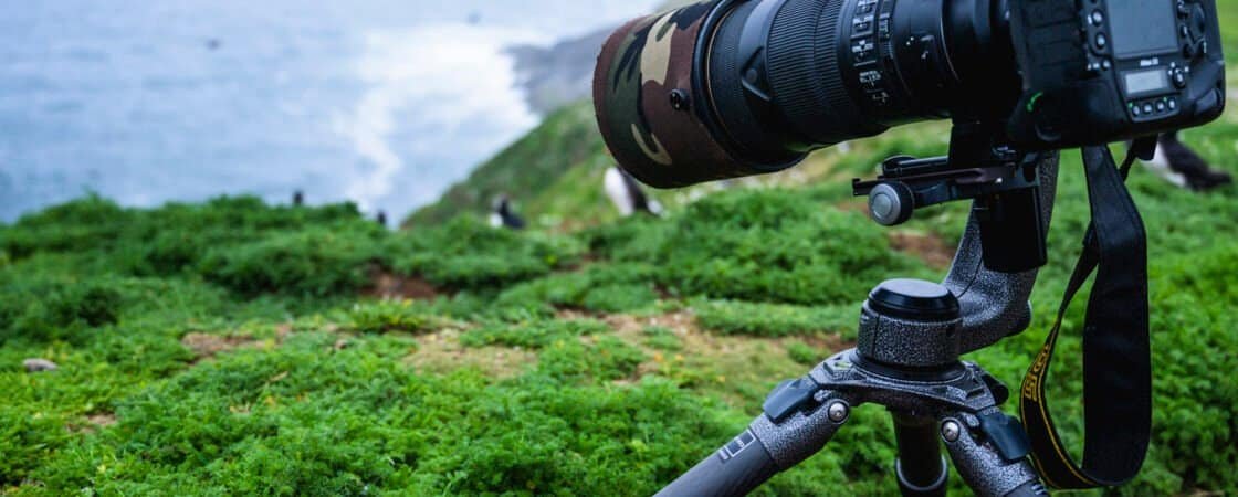 Do You Need A Tripod For Wildlife Photography