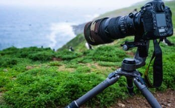 Do You Need A Tripod For Wildlife Photography
