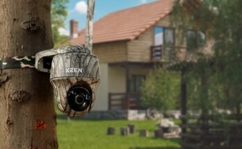 How To Use A Trail Camera For Security?