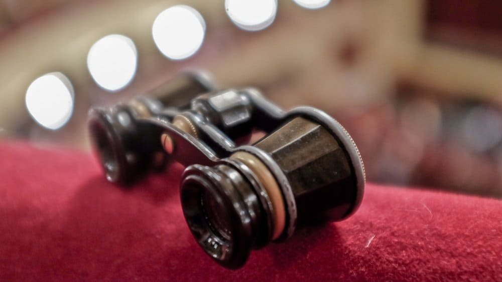 What is the Best Opera Glasses for Beginners? Top Picks Reviewed ...